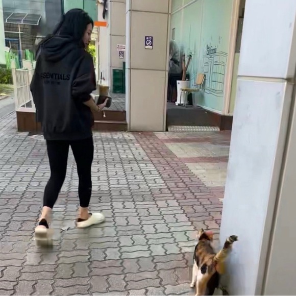 Essentials Fear of God Black Hoodie 100% Authentic - Picture 7 of 11